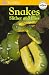 Snakes Slither and Hiss (DK Readers Pre-Level 1)