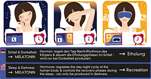 Imagen 6 de Daydream B-1002-K