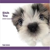 Shih Tzu Dog 2009 Wall 12''x12'' Calendar by THE DOG Artlist Collection