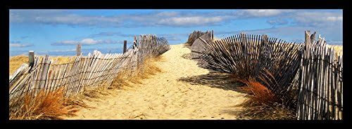 FRAMED Path To The Outer Beach 36x12" Art Print Poster Decor by Joseph Condon