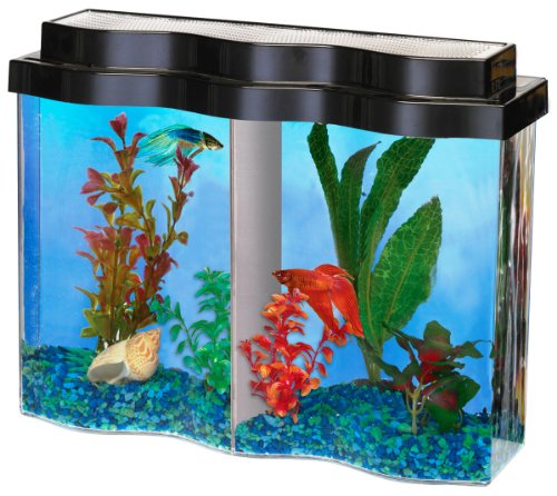 AQUARIUS AQ22502 BettaWave 2.5-Gallon Tank with Divider