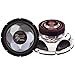Pyramid PW1277X 12-Inch 700-Watt Subwoofer