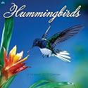 Hummingbirds 2010 Wall Calendar