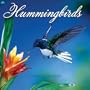 Hummingbirds 2010 Wall Calendar
