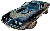 1981 Trans Am Turbo "Special Edition" Ultimate Decal & Premolded Stripe Kit