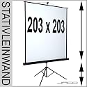 BELESV01 HDTV Rollo Leinwand f&uuml;r Beamer Heimkino 203 x 203 cm 16:9 4:3 1:1