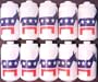 Democratic Party Fun Party String Lights (SJ)