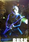 Bush~ Bush Poster~ Gavin Rossdale~ Rare Vintage Poster!!~ Approx 22