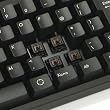 FILCO MajestouchN-KeyRollover ���J�j�J���L�[�{�[�hUSB&PS2���Ή����{��108�L�[�E���Ȉ󎚂Ȃ� ��CherryMX�����X�C�b�` �u���b�N FKBN108M/NB