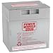Power Wheels 12-Volt Rechargeable Battery