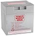 Power Wheels 12-Volt Rechargeable Battery