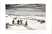 The camp of the second division, looking east January 1855 (Reprint measured in inche...