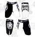 Pimpit 'MMA Fight Team World Wide Domination' Fight Shorts