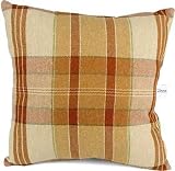 Go West Plaid Pillow by Glenna Jean