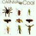Carnival In Coal-Fear Not