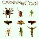 Fear Not Carnival In Coal