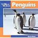Penguins (Our Wild World)
