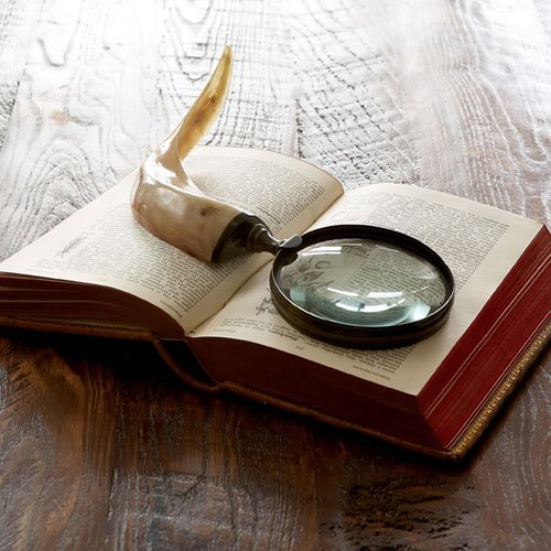 Valence Horn Handle 5x Magnifier