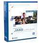 JAWS for Windows Standard