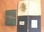 The book of choice ferns for the garden, conservatory. and stove: Describing and giving explicit cultural directions for the best and most striking ... coloured plates amd numerous wood engravings
