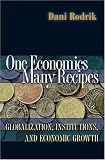 One Economics, Many Recipes: Globalization, Institutions, and Economic Growth
