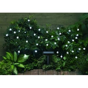 Smart Solar 3732WR30 Solar Light String, 30 White LEDs with Crystal Ball Covers