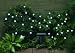 Smart Solar 3732WR30 Solar Light String, 30 White LEDs with Crystal Ball Covers