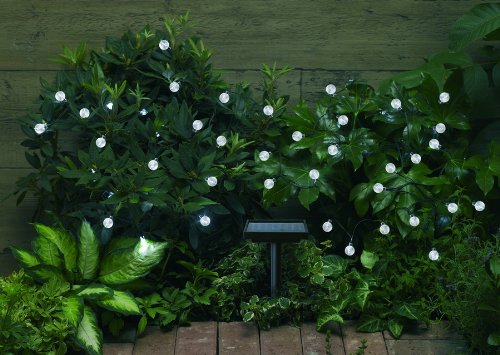 Smart Solar 3732WR30 Solar Light String, 30 White LEDs with Crystal Ball Covers