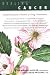 Healing Cancer: Complementary Vitamin & Drug Treatments