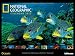 National Geographic Oceans cal