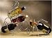 POMERANTZ 4087 Tuscan Cellars Collection 2 Piece 6 Bottle Chrome Wine Holder