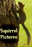 Squirrel Pictures - Volume 1