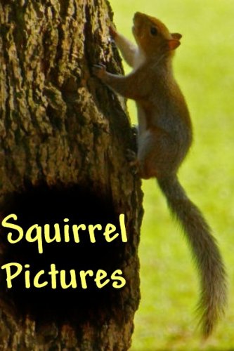 Squirrel Pictures - Volume 1