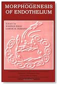 Morphogenesis of Endothelium (Endothelial Cell Research Series)