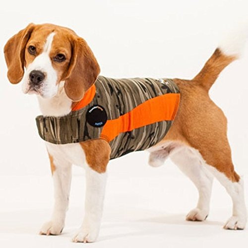 thundershirt xxs
