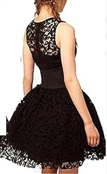 Lace Above the Knee Sleeveless Evening Dress/Little Black Dress/Jumper/Mini Dress 