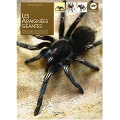 Les araign�es g�antes