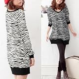 Allegra K Ladies V Neck Zebra Print Long Sleeve Knit Casual Tunic Shirt