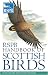 RSPB Handbook of Scottish Birds