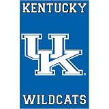 Kentucky Wildcats NCAA Applique Banner Flag (44x28)
