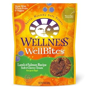Click to buy Dog Training Treat: Wellness Lamb & Salmon Welbites from Amazon!