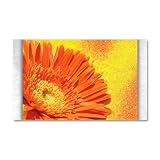 38.5 x24.5 Wall Vinyl Sticker Daisy Orange Gerbera