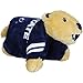 Creative Converting Penn State Nittany Lions Plastic Banquet Table Cover, 54 x 108