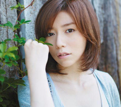柴田淳のアイテム画像