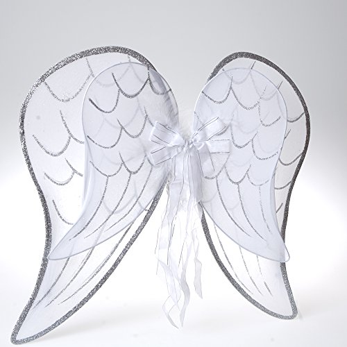 White Glitter Wings