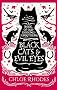 Black Cats and Evil Eyes