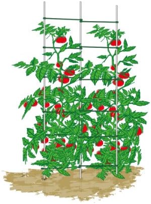 V-Shape Expandable Trellis, Plant Ladder, Support Ladder, Tomato Trellis, Cucumber Trellis, 3pcs of 5/16"*60" Stakes, 1 Set