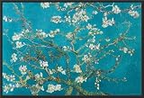 Professionally Framed Vincent Van Gogh Turquoise Almond Branches in Bloom, San Remy Art Poster Print - 24x36 with RichAndFramous Black Wood Frame
