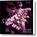 Early morn Midnight in the garden of good and evil Canvas Print / Canvas Art - Artist Toni Hopper