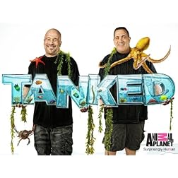 Tanked Season 2